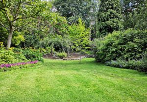 Optimiser l'expérience du jardin à Tourville-les-Ifs